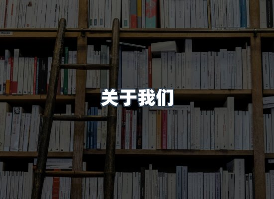 专业团队
